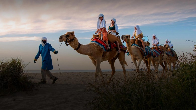 Discovering the Cultural Tapestry of Saudi Arabia: Tradition, Heritage, and Modern Life